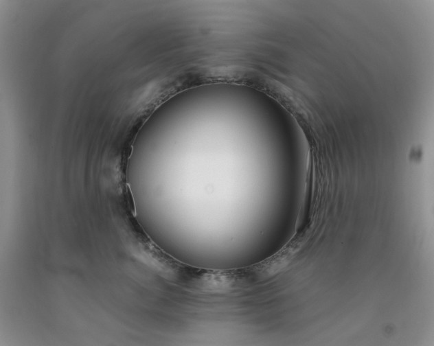 X0000091980764200709201426