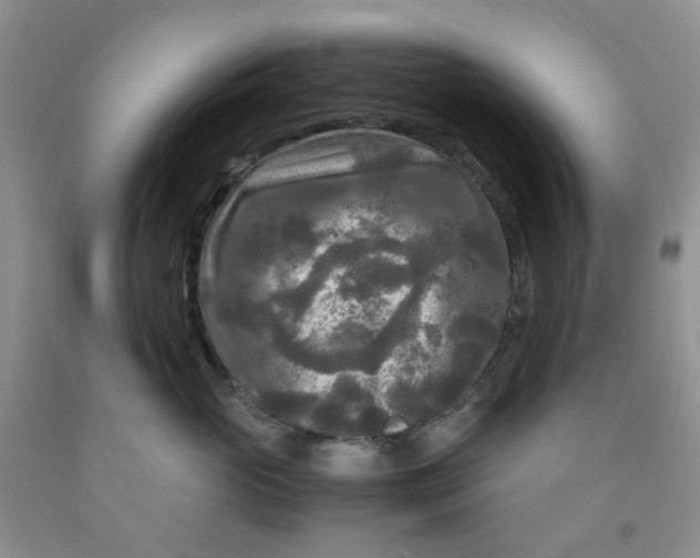 X0000091980765200709201426