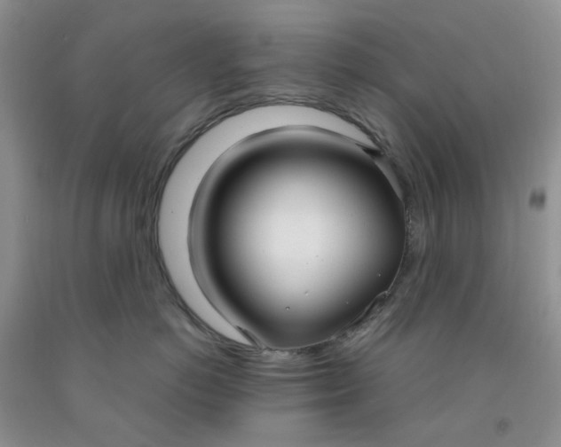 X0000091980766200709201426