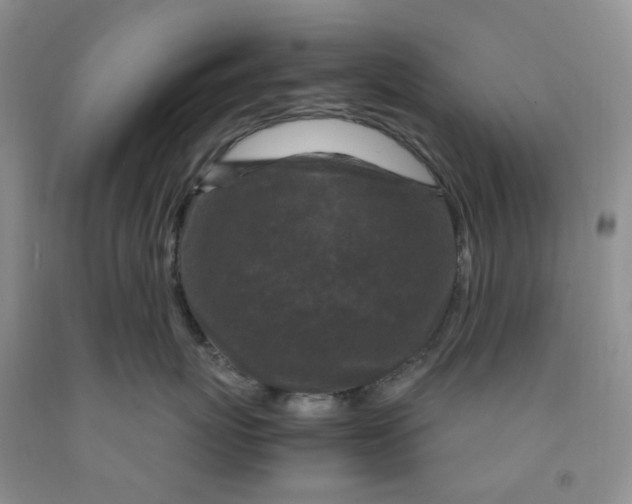 X0000091980767200709201426