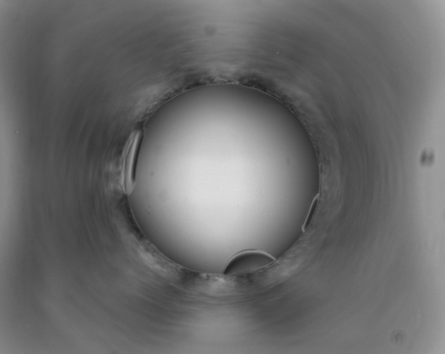 X0000091980768200709201426