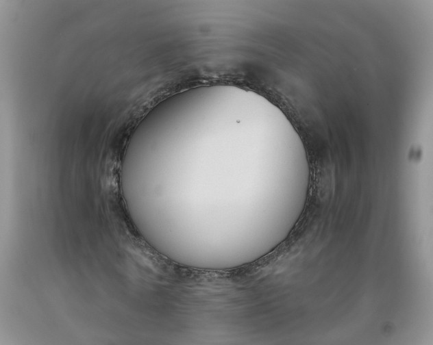 X0000091980770200709201426