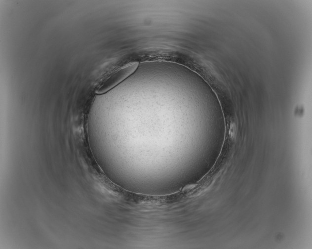 X0000091980771200709201426