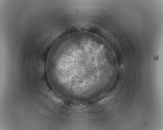 X0000091980772200709201426