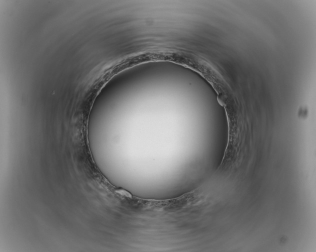 X0000091980773200709201426