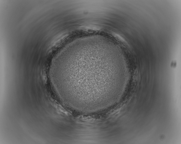 X0000091980774200709201426