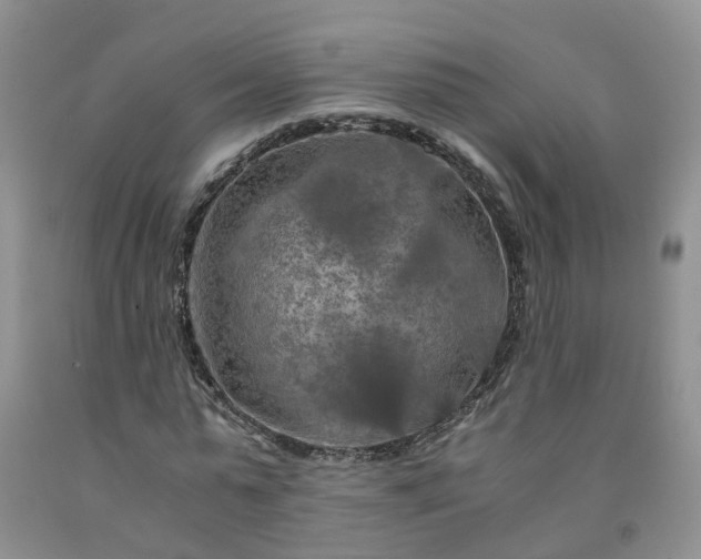 X0000091980775200709201426