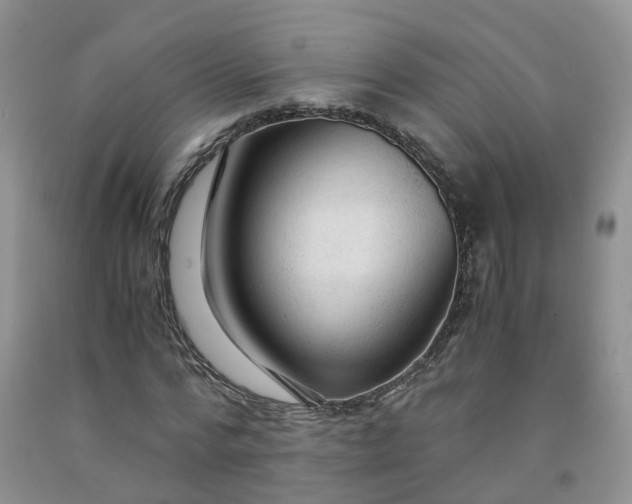 X0000091980776200709201426