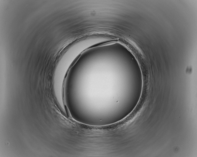 X0000091980777200709201426