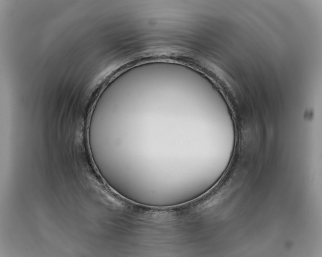 X0000091980778200709201426