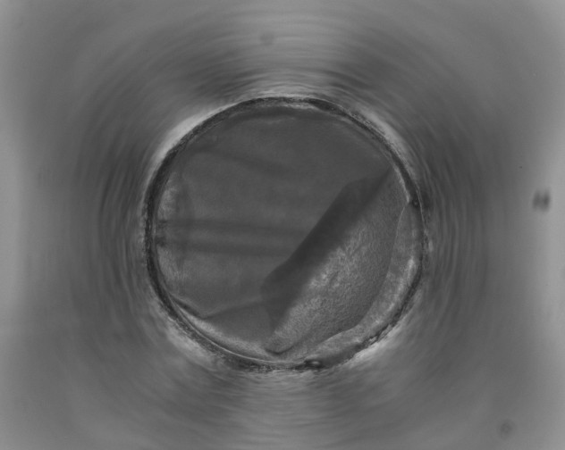 X0000091980779200709201426