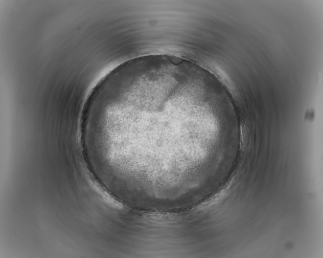 X0000091980780200709201426