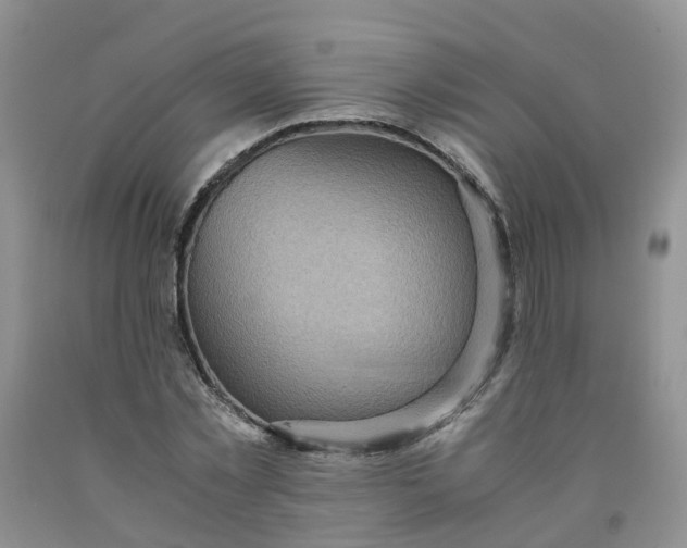 X0000091980781200709201426