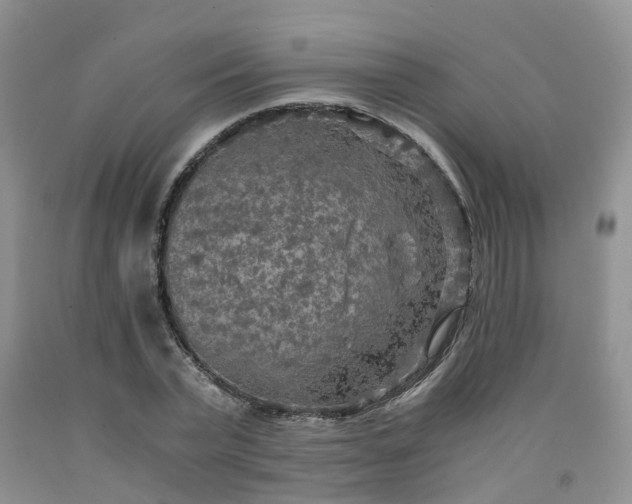 X0000091980783200709201425