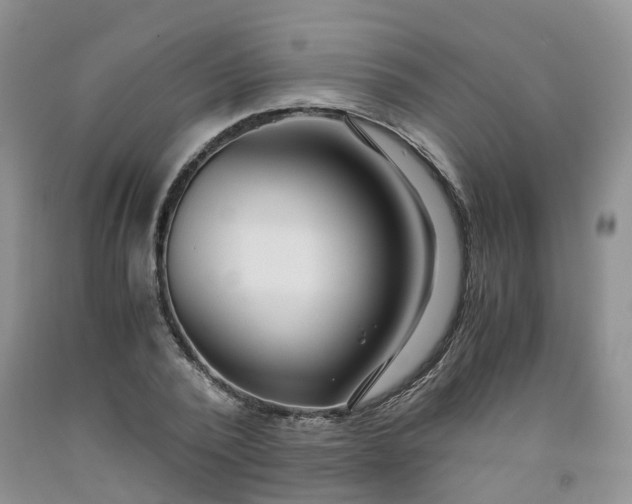 X0000091980784200709201425