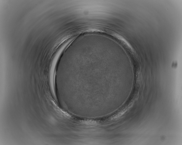 X0000091980785200709201425