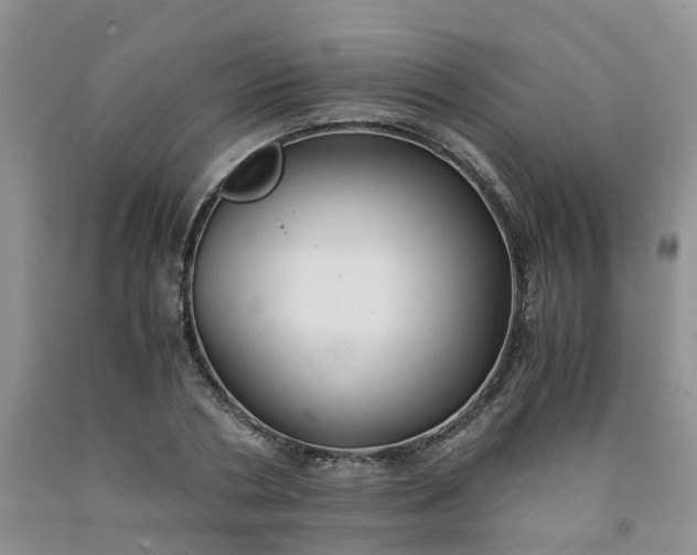 X0000091980786200709201425