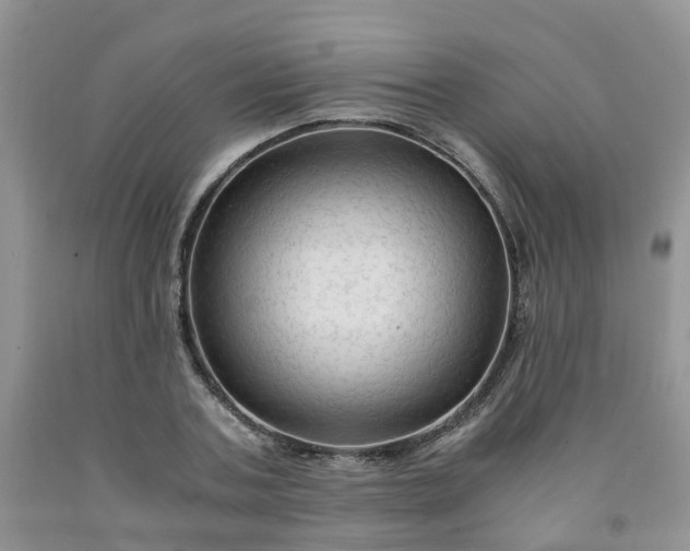 X0000091980787200709201425