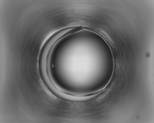 X0000091980788200709201425