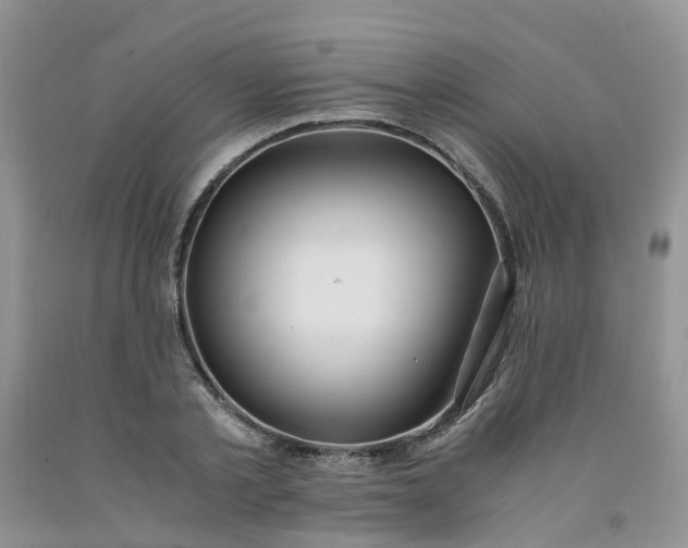 X0000091980789200709201425