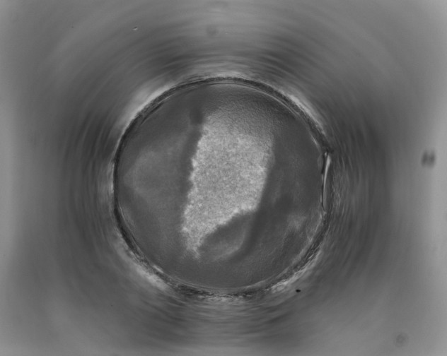 X0000091980790200709201425