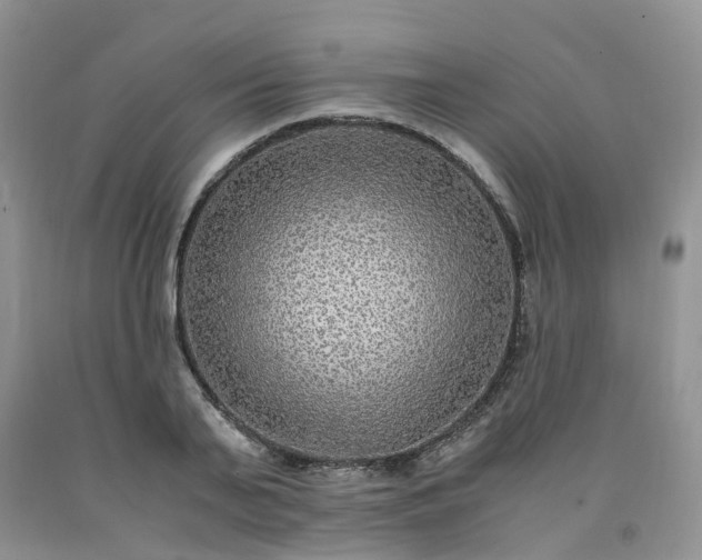 X0000091980791200709201425