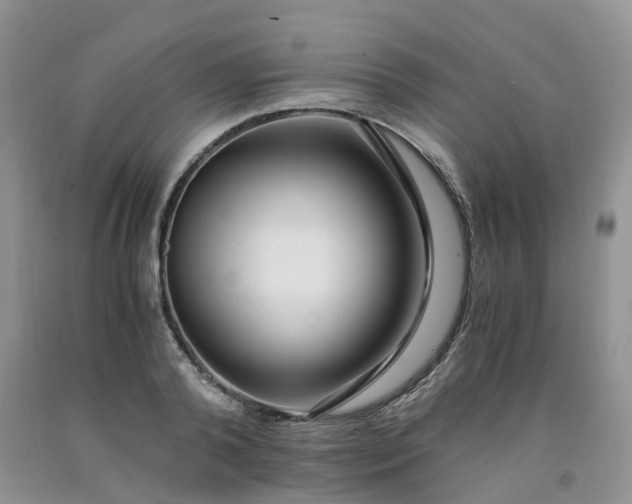 X0000091980792200709201425