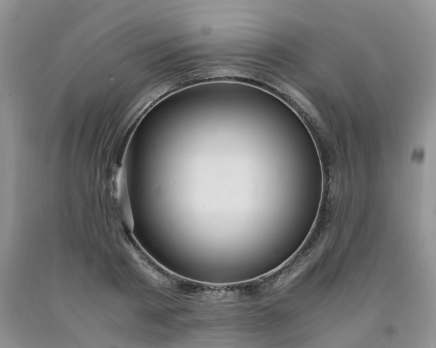 X0000091980793200709201425