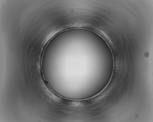 X0000091980794200709201425