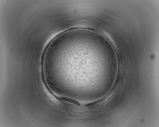 X0000091980795200709201425