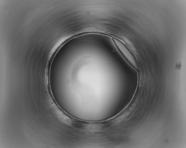 X0000091980796200709201425