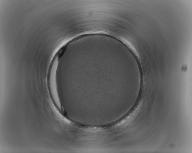 X0000091980797200709201425