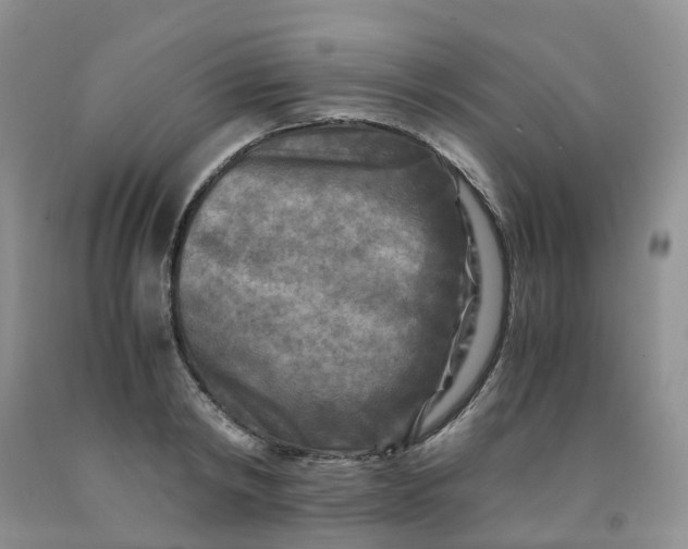 X0000091980798200709201425