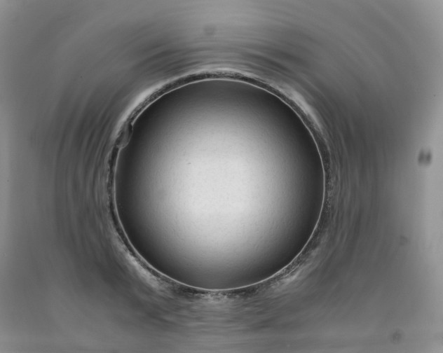 X0000091980799200709201425