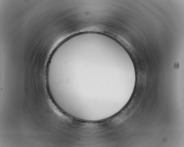 X0000091980800200709201425