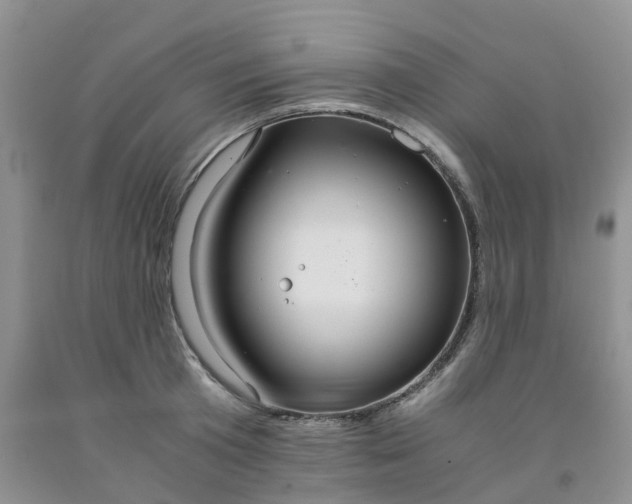 X0000091980801200709201425