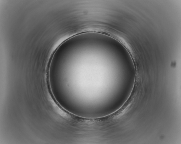 X0000091980803200709201425