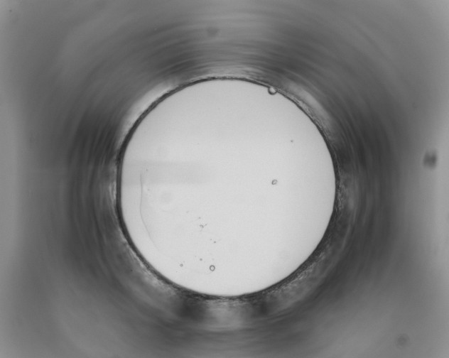 X0000091980804200709201425