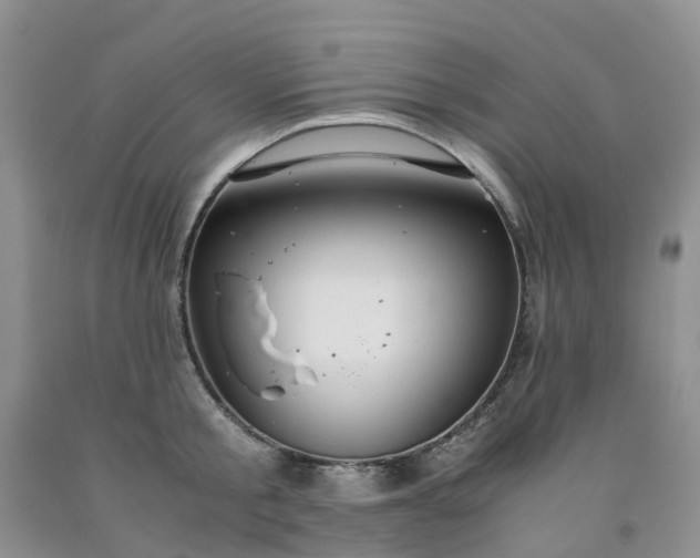 X0000091980805200709201425