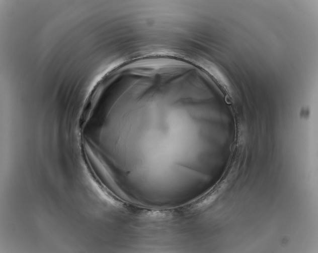 X0000091980806200709201425