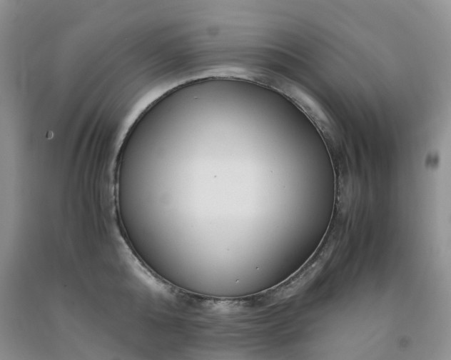 X0000091980808200709201425