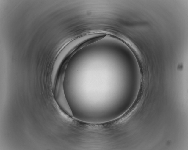 X0000091980809200709201425