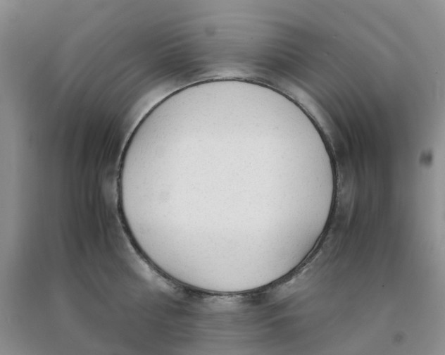 X0000091980810200709201425