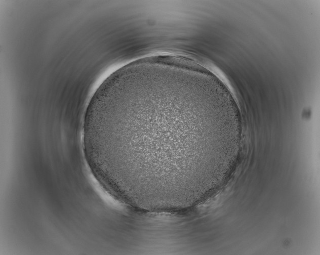 X0000091980811200709201425