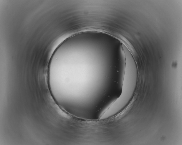 X0000091980812200709201425