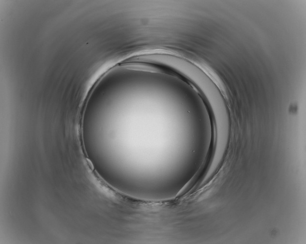 X0000091980813200709201425