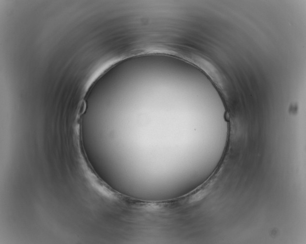 X0000091980814200709201425