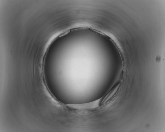 X0000091980815200709201425