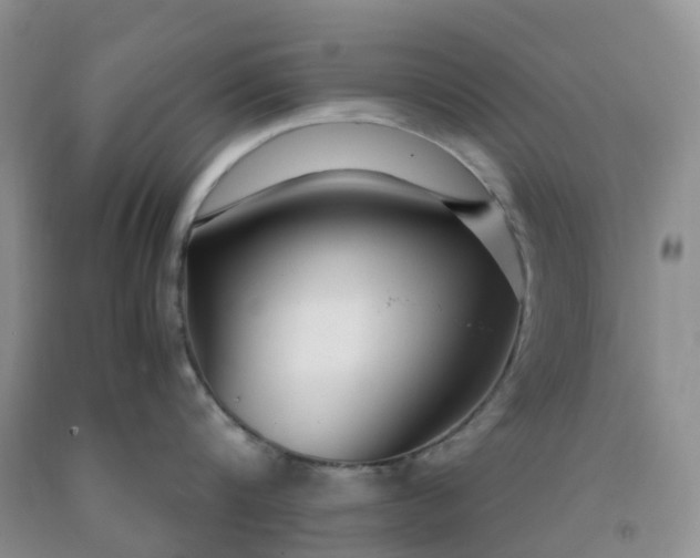 X0000091980816200709201425