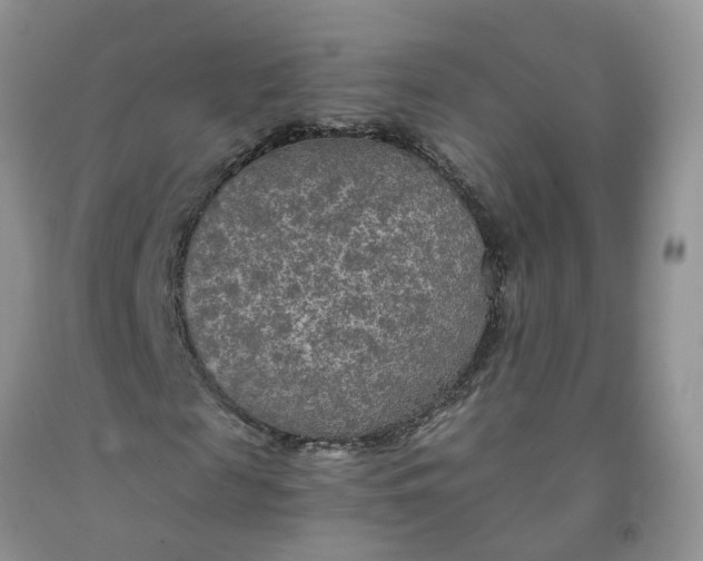 X0000091980817200709201424